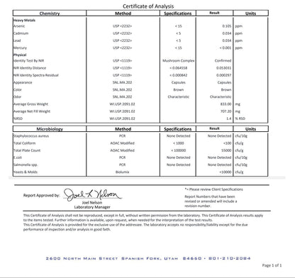 Mushroom Immune Booster: Chaga, Cordyceps, Reishi and Lion’s Mane