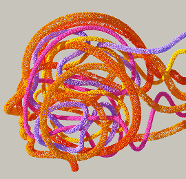 Holistic Formulas for Total Wellness